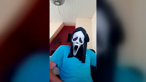 Timmy online show from 3, 8, 2026
