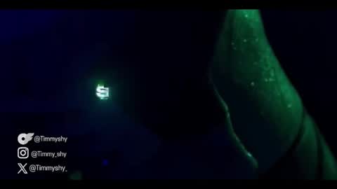 Snapshot of timmyshy chatting on 17, 1, 2026 timmyshy online show from 17, 1, 2026