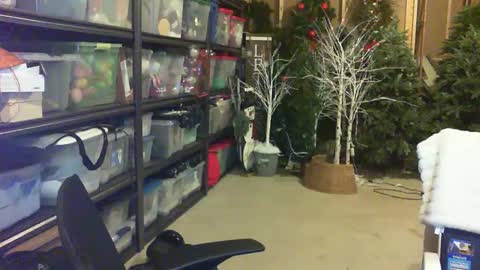 timtimmyyyy online show from 25, 9, 2025