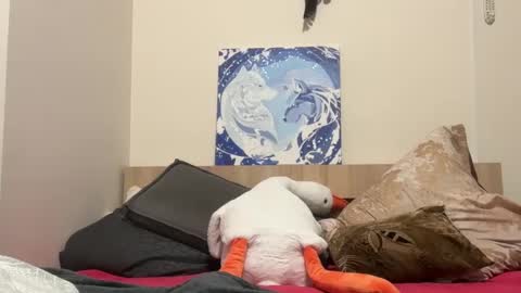 Snapshot of timveret chatting on 9, 2, 2025 Wizard online show from 9, 2, 2025