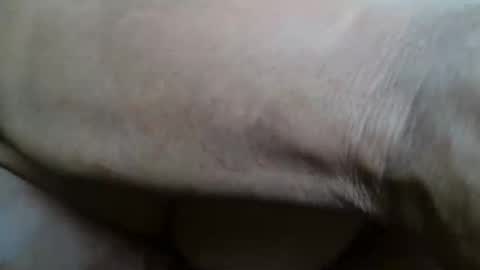 tinagiant online show from 20, 11, 2025