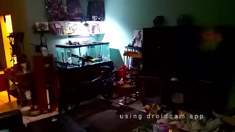 Snapshot of tinalover4u2 chatting on 17, 11, 2025 tinalover4u2 online show from 17, 11, 2025