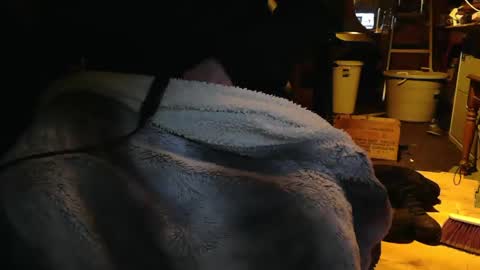 Snapshot of tinkertrain420 chatting on 2, 12, 2024 tinkertrain420 online show from 2, 12, 2024