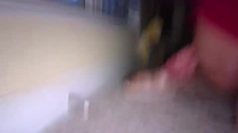 Snapshot of tj526316275 chatting on 9, 1, 2025 tj526316275 online show from 9, 1, 2025