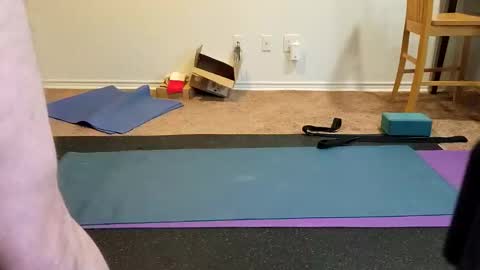 Joe online show from 13, 1, 2025