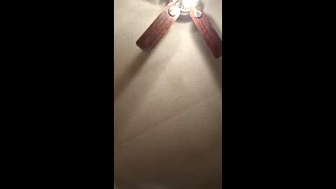 Snapshot of tnvols1968 chatting on 17, 12, 2025 Vols online show from 17, 12, 2025