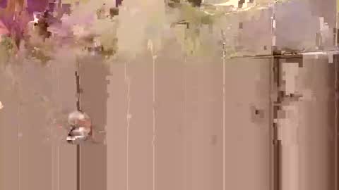 Snapshot of tobyobeys chatting on 27, 10, 2025 Toby Obeys online show from 27, 10, 2025