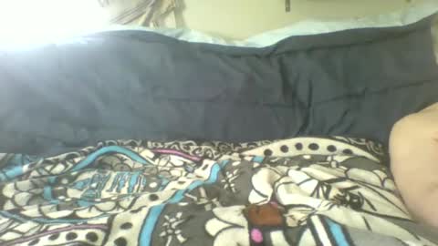 toddhaven4u online show from 4, 4, 2026