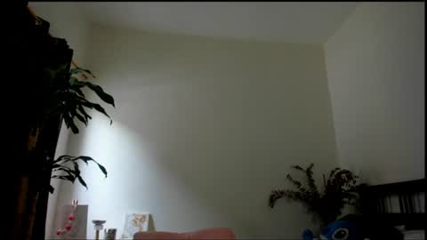 Snapshot of tokyo_girls chatting on 27, 7, 2026 Tokyo online show from 27, 7, 2026