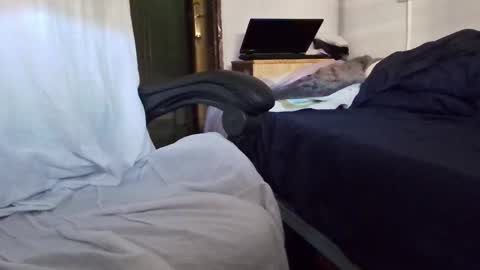 tolon408472 online show from 4, 11, 2025