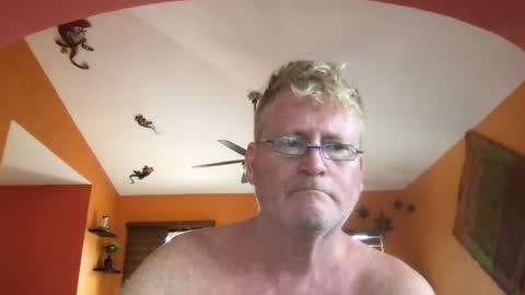 Hola online show from 29, 7, 2026