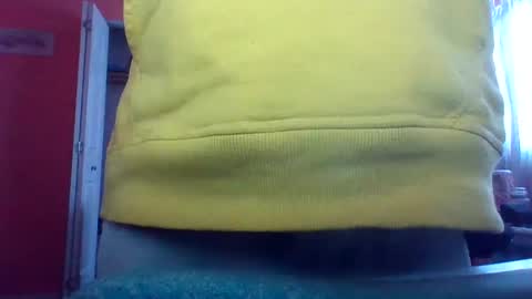 Snapshot of tomcat4848 chatting on 15, 2, 2025 tomcat4848 online show from 15, 2, 2025