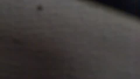 Snapshot of tony2700targa chatting on 13, 1, 2025 tony2700targa online show from 13, 1, 2025