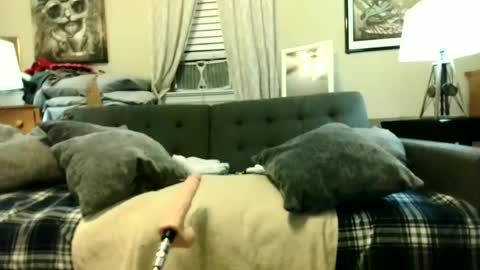 Tony Luv    Fuck Machine  online show from 18, 6, 2026