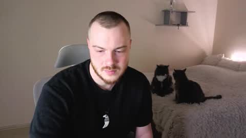 toohornyserj online show from 12, 3, 2026