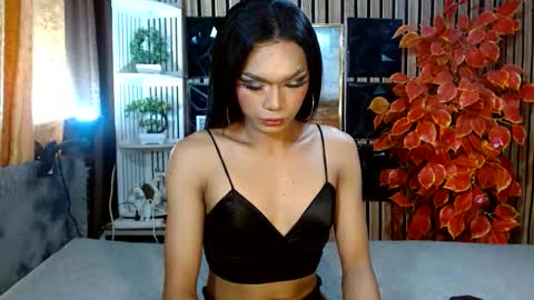 toptrans venice online show from 20, 2, 2026