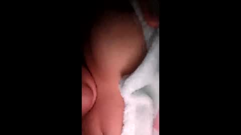 torres213825 online show from 17, 3, 2026