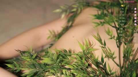 Snapshot of toshimori chatting on 2, 12, 2024 Toshi online show from 2, 12, 2024