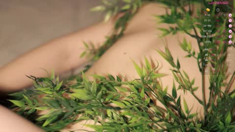 Snapshot of toshimori chatting on 17, 9, 2025 Toshi online show from 17, 9, 2025