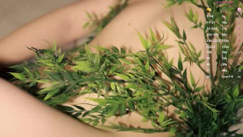 Snapshot of toshimori chatting on 14, 12, 2025 Toshi online show from 14, 12, 2025