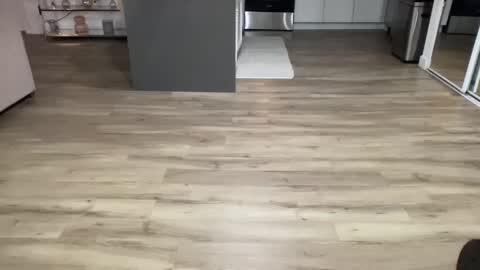 ASH online show from 8, 2, 2025