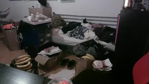 Totox online show from 29, 12, 2024