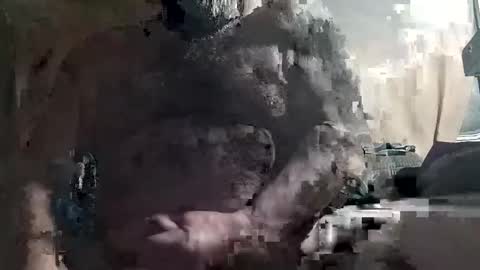 tr0069 online show from 4, 4, 2026