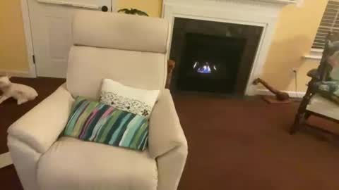 Snapshot of trannytush69 chatting on 11, 1, 2025 USA GURL online show from 11, 1, 2025