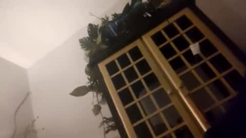 Snapshot of trans167456 chatting on 19, 12, 2025 trans167456 online show from 19, 12, 2025