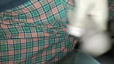 Snapshot of travelingmantla chatting on 14, 1, 2025 Daddy Edgalot online show from 14, 1, 2025