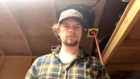 treeman817 online show from 27, 2, 2026