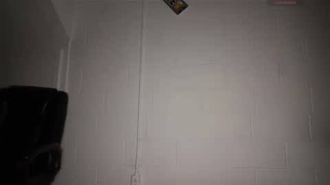 treyyzaddyy online show from 26, 2, 2026