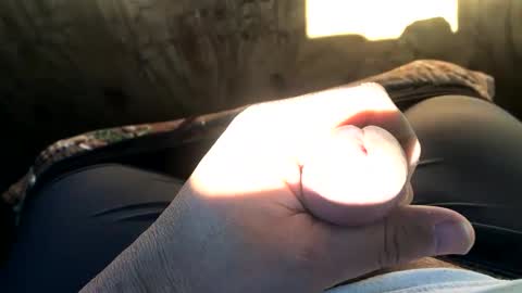 Bean online show from 11, 12, 2024