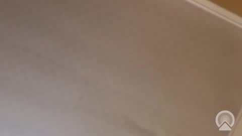 Snapshot of trinislim1868 chatting on 13, 11, 2025 Antique-Shirt2516 online show from 13, 11, 2025