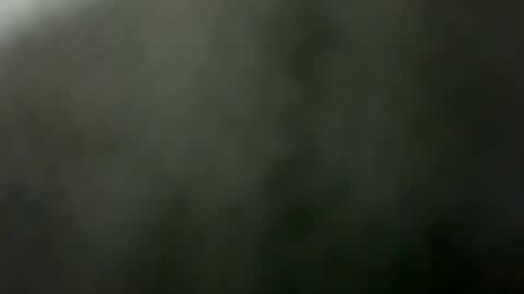 Snapshot of tripit1 chatting on 21, 12, 2025 tripit1 online show from 21, 12, 2025