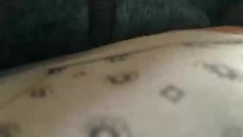 Snapshot of trobelle chatting on 25, 11, 2025 trobelle online show from 25, 11, 2025