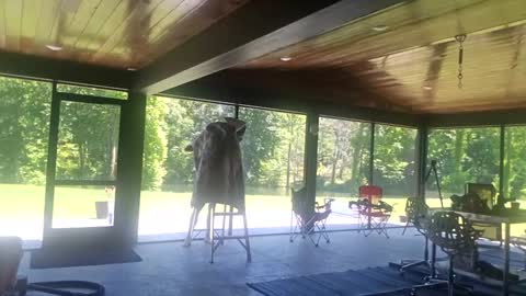 trojanswingers online show from 2, 6, 2026