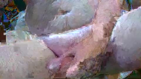 Snapshot of troy1965 chatting on 6, 1, 2025 troy1965 online show from 6, 1, 2025