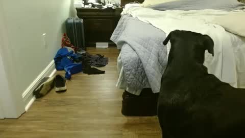 Snapshot of troy1965 chatting on 29, 9, 2025 troy1965 online show from 29, 9, 2025