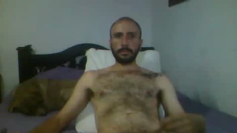 Snapshot of troytis chatting on 16, 11, 2025 Troy online show from 16, 11, 2025