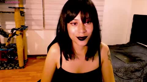 Snapshot of tryp666 chatting on 29, 11, 2025 Cait online show from 29, 11, 2025