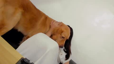 ts_danielahugecock_xxx online show from 31, 12, 2024