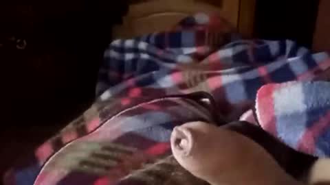 tseroone1 online show from 13, 1, 2026