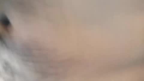 Snapshot of ttimmyt chatting on 8, 11, 2025 ttimmyt online show from 8, 11, 2025