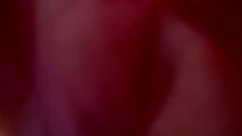 Snapshot of tu_julieta_gh chatting on 20, 10, 2025 JULIETA online show from 20, 10, 2025