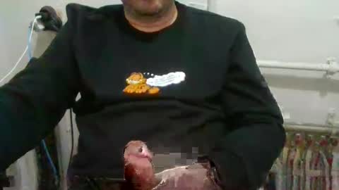turkishdaddy34 online show from 12, 2, 2025