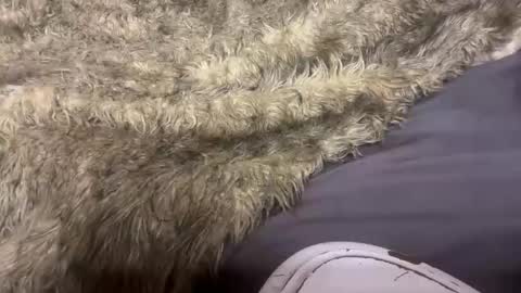 turntpixie online show from 7, 3, 2026