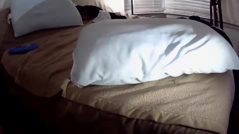 Snapshot of tweeter74 chatting on 26, 1, 2025 Tweeter74 online show from 26, 1, 2025