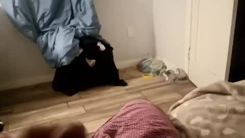 Snapshot of twest84 chatting on 14, 9, 2025 twest84 online show from 14, 9, 2025