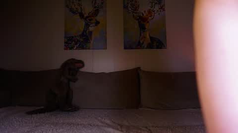 Maria 3 online show from 9, 1, 2025